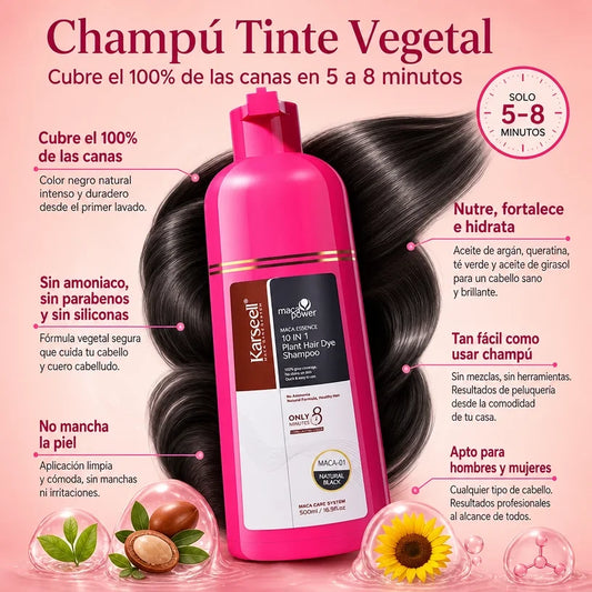 Shampoo Tinte Karseell